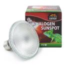 Terra Exotica Halogen Sunspot - Halogen Spotstrahler - 75 Watt